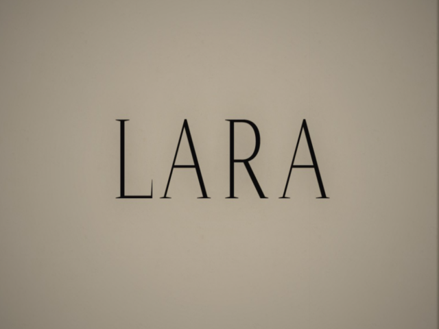 City of Lara