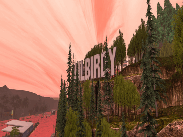 LilBirdy National Forest