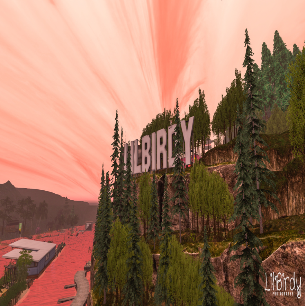 LilBirdy National Forest